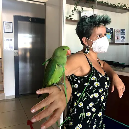 Atlantic 3* Senigallia