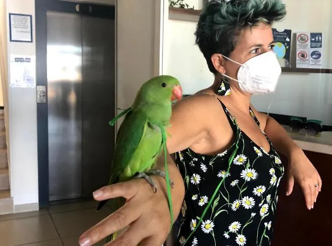 Atlantic 3* Senigallia